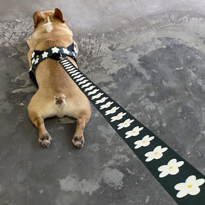White flowers Vest-style Adult Dog Leash