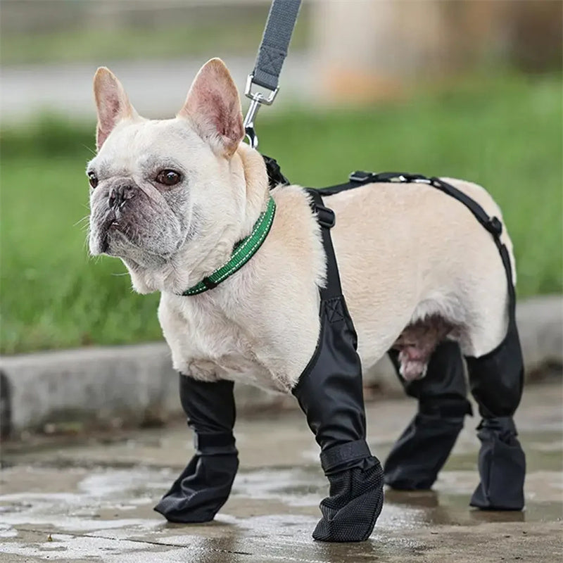 Waterproof Dog Boot Leggings