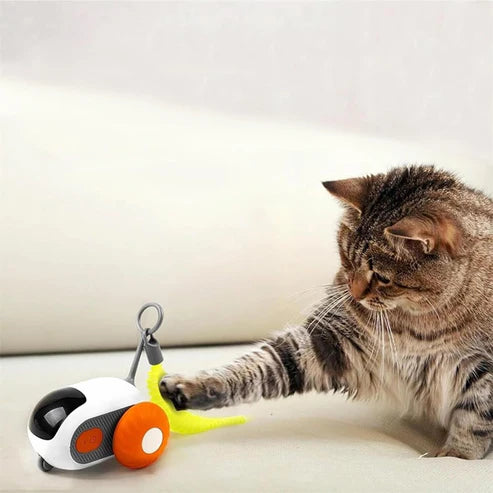 Remote Control Interactive Cat Toy