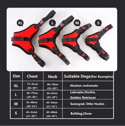 Adjustable Dog Harness
